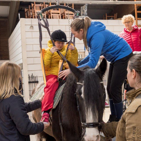 Bio Manege in Arnhem: Wij geloven in paardenkracht
